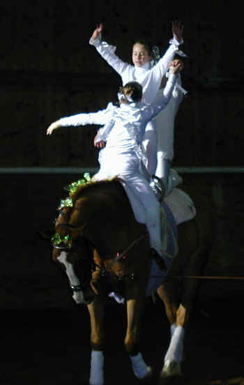 voltige1.JPG (35375 Byte)