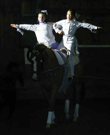 voltige2.JPG (27558 Byte)